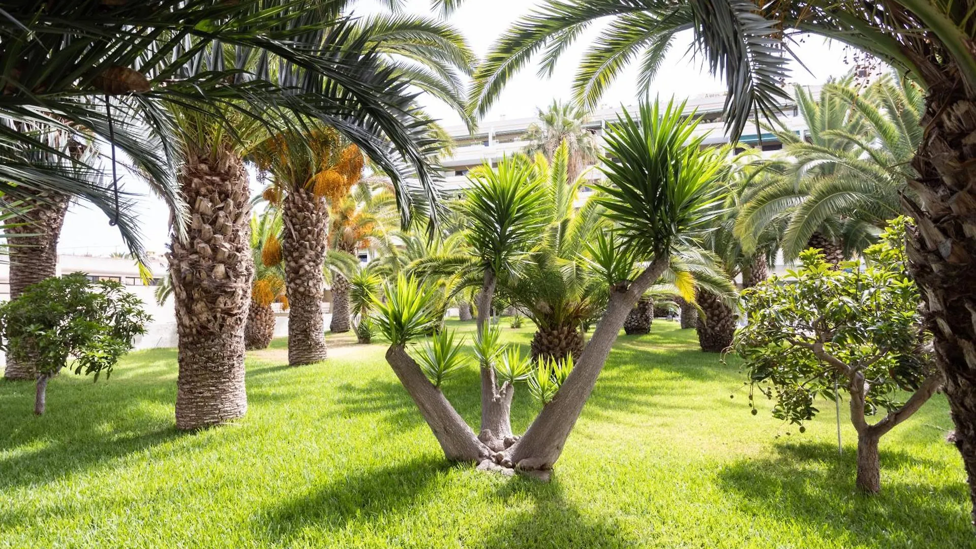 דירה פוארטו דה לה קרוז Apartamento Con Vistas A Las Montanas